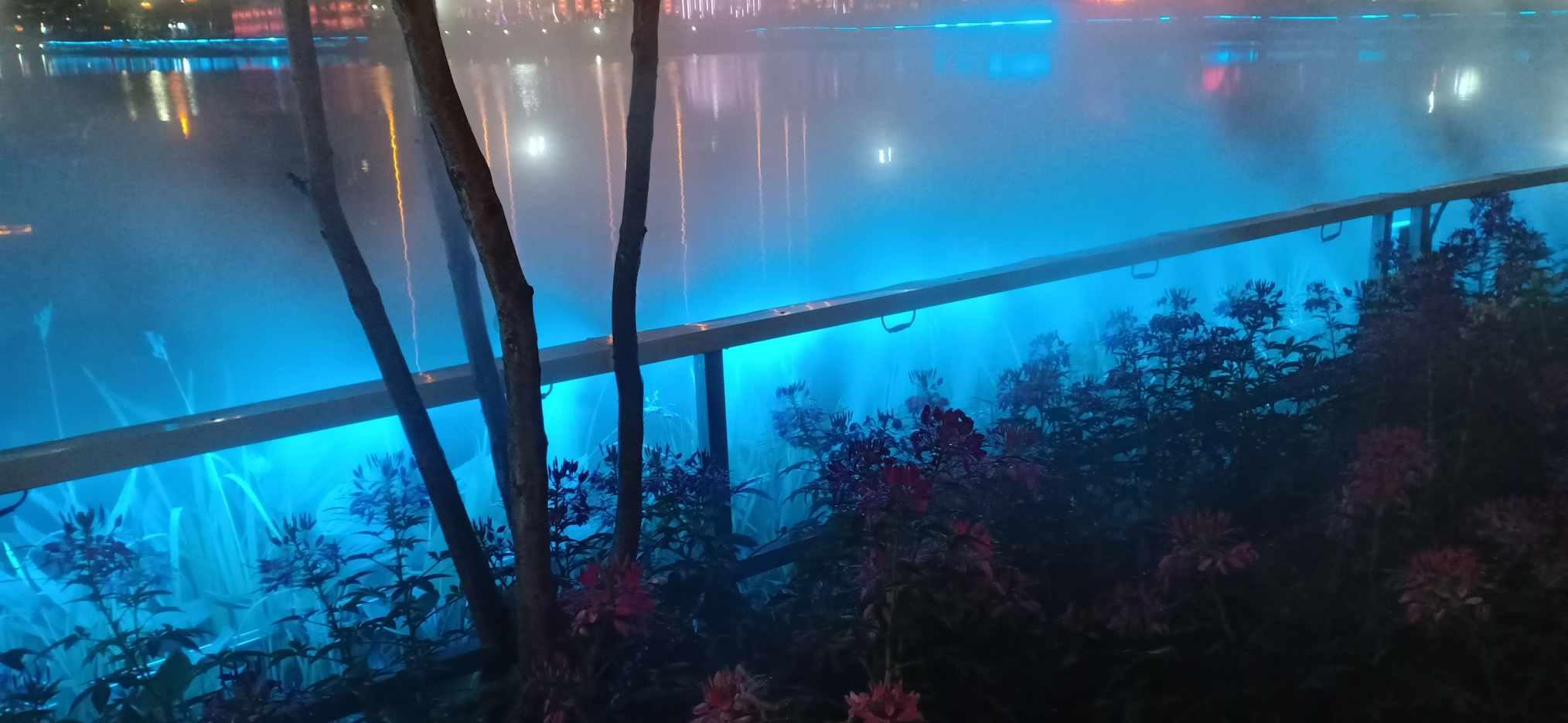 王楠患癌时结婚，丈夫送她一条街，是不是比郭晶晶还要幸福？游戏画面